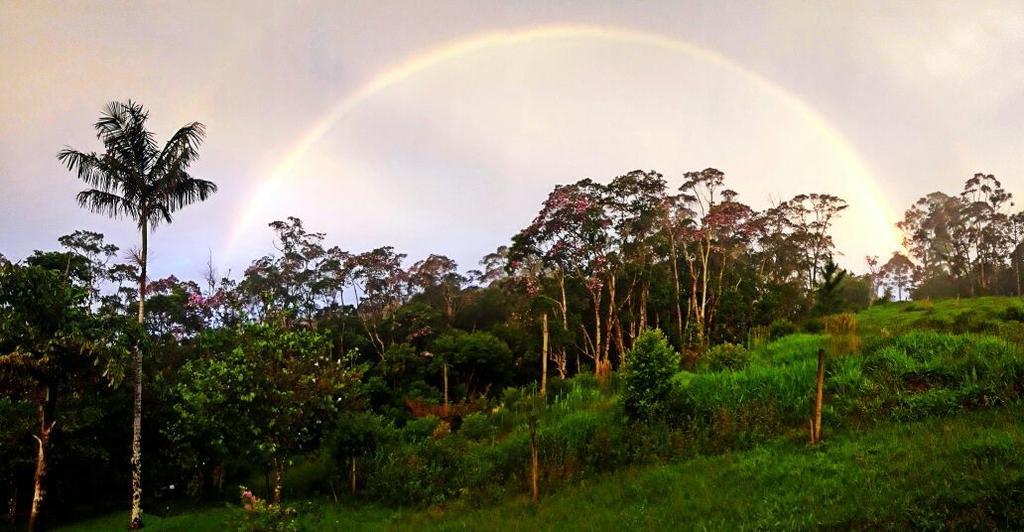 Pousada Recanto Dos Pinheiros Pilar do Sul Dış mekan fotoğraf