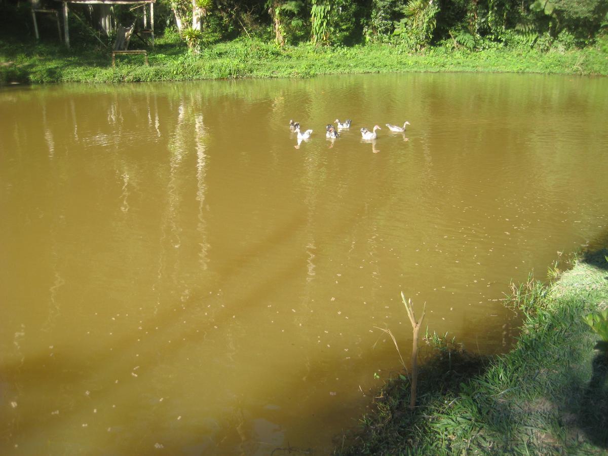Pousada Recanto Dos Pinheiros Pilar do Sul Dış mekan fotoğraf