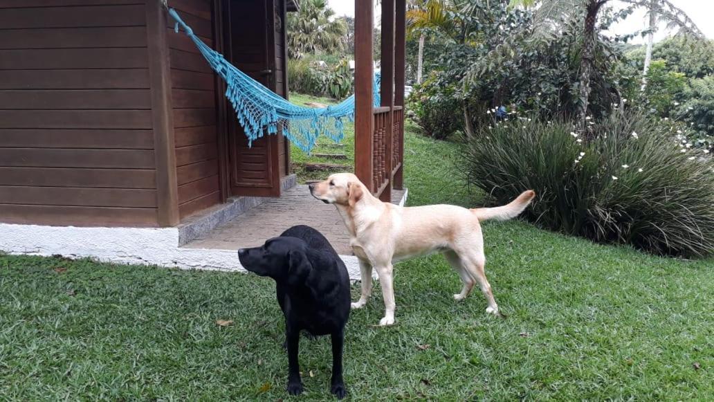 Pousada Recanto Dos Pinheiros Pilar do Sul Dış mekan fotoğraf