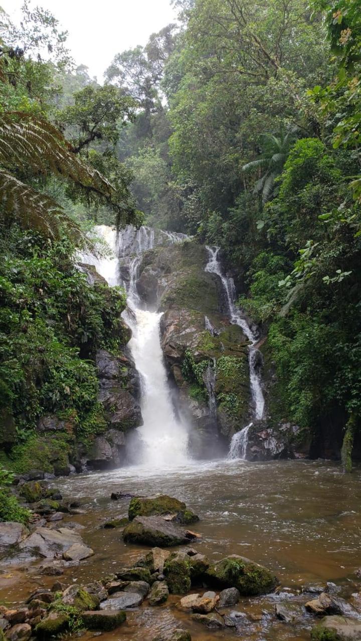 Pousada Recanto Dos Pinheiros Pilar do Sul Dış mekan fotoğraf